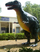 Government Museum