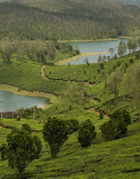 Yelagiri